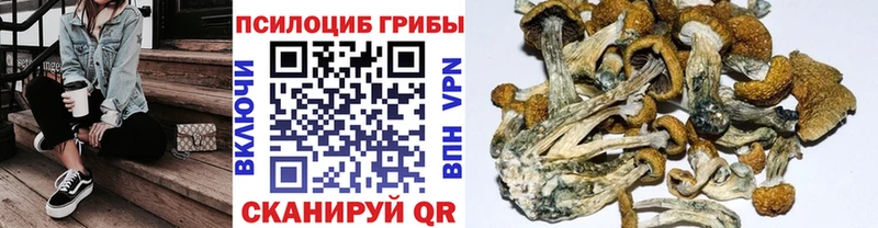 Галлюциногенные грибы прущие грибы  закладка  Ува 